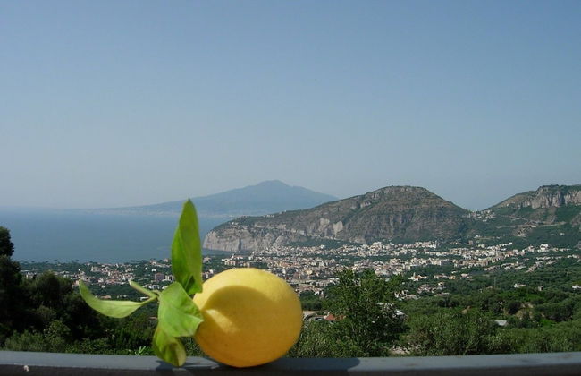 Gli Ulivi Agriturismo - Foto 78