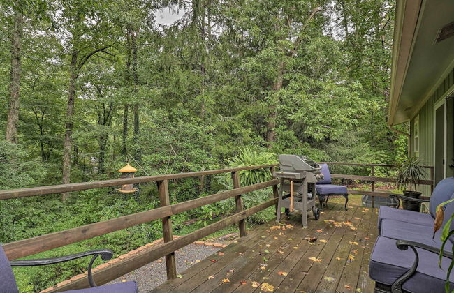 Peaceful Pisgah Forest Cottage with Fire Pit! - Foto 47