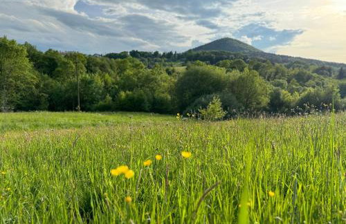 Dom w Starym Sadzie z basenem i sauną - Beskid Wyspowy - Foto 33