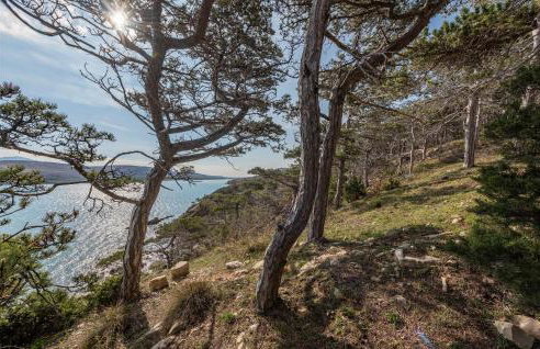 Nice Apartment In Novalja With Kitchen - Photo 23