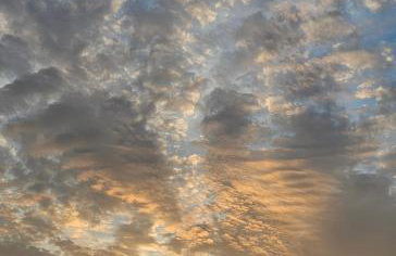 Robinson House Mimo - Photo 24