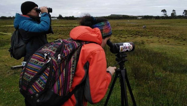 Avvistando gli uccelli delle paludi