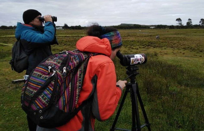 Birdwatching on the Carretera Austral - Foto 7