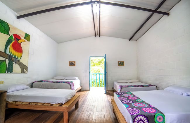 La Posada De Las Aves - Photo 9