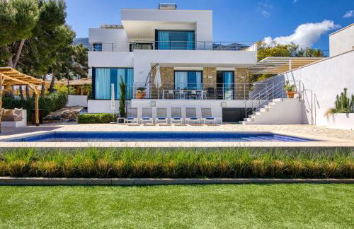 Tortuga Verde - Foto 7