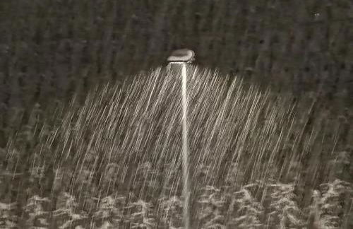 Casa Clima Tandem - Foto 33