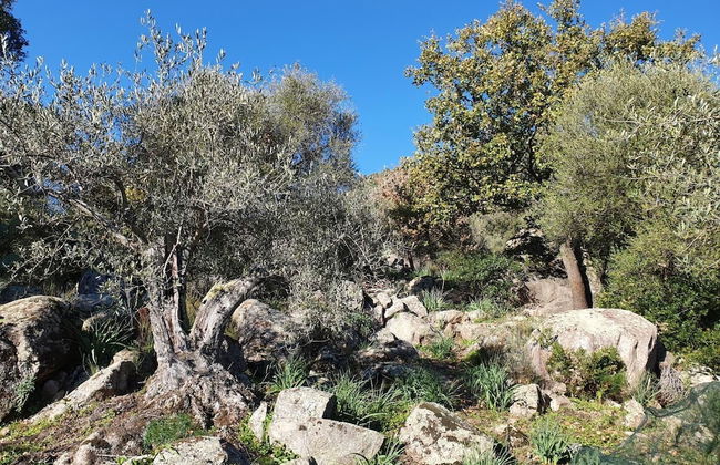 Terry's House - Photo 34