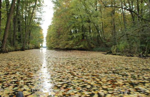 Ferienhütte Barsdorf - Foto 9