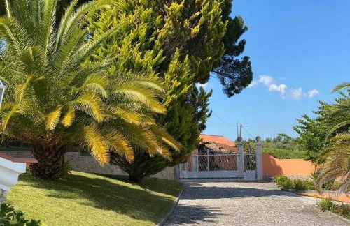 Quinta do Alto dos Pinheiros - Foto 9