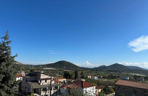 Angela House - Photo 21