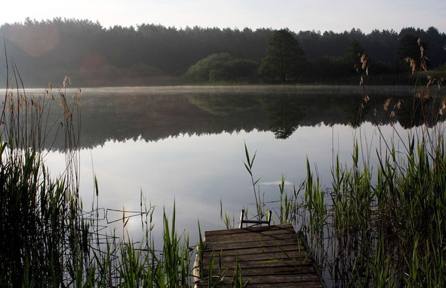 Reihenhaus Rotkehlchen in Lohmen - Foto 21