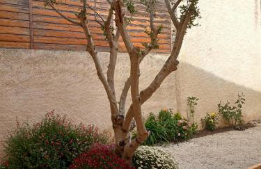 Le Patio - Foto 13