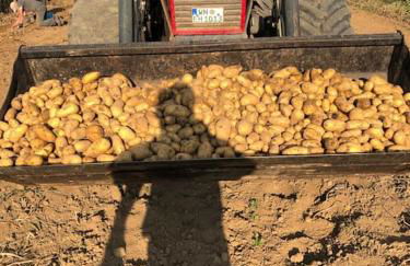 Ferien auf dem Eliesenhof - Foto 29