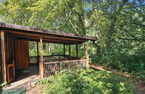 Dom z linią brzegową Narwi - Photo 33