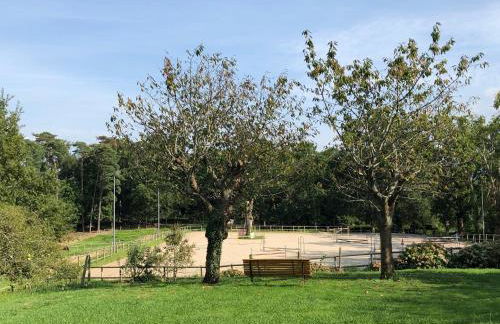 Beltzenia Txoko - Foto 7