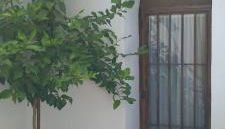 EL RINCON DEL ROMERAL - Foto 3