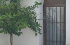 EL RINCON DEL ROMERAL - Foto 3