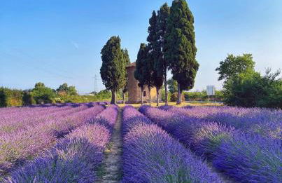 Mia Margot Suite Apartment - Foto 47