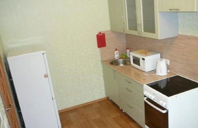 Apartment on Kholodilnaya 134 - Photo 16