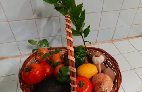 QM - Quinta da Morgadinha - Casa em Quinta Rural - Foto 23