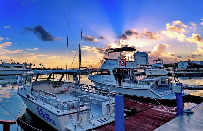 Harbour Club Villas & Marina - Foto 41