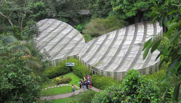 Vista aérea del mariposario del Jardín Botánico del Quindío