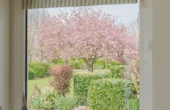 Ferienhaus Hofkiek - Bauernhof Hopp Vadersdorf - Foto 14