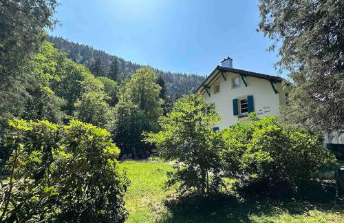 Au Temps Passé - Photo 62