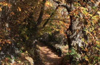 Tschott Hof - Foto 33