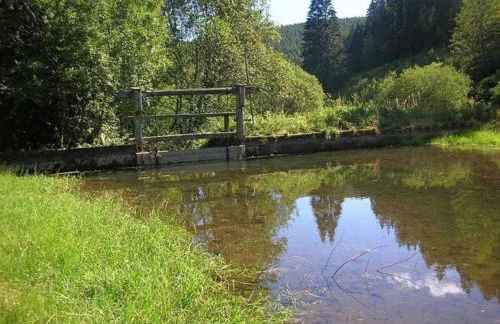 Ferienwohnung Marianne in Neuweiler - Foto 53