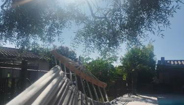 L'Amuse-Bouche - Foto 2