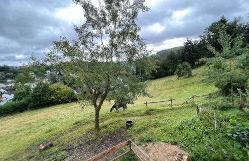 Altes Bauernhaus in der Natur - Foto 20