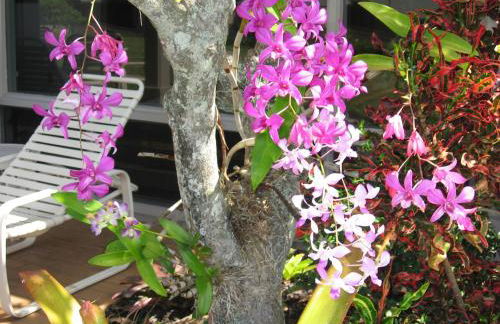 Ground Floor & ac - kbv11g2 - Sullivan Properties - Photo 43