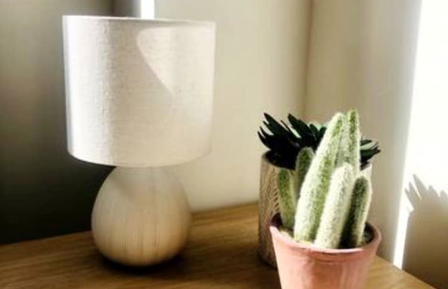 Hosta House - Foto 27