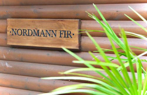 Nordmann Fir Lodge - Photo 23