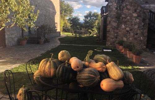 Azienda Agricola Il Querceto - Foto 1