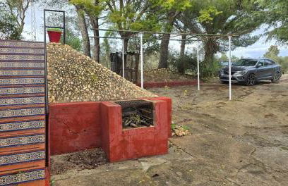 Finca El Palmar - Foto 10