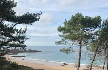 Les Palmiers - Foto 20