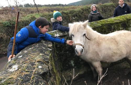 Burgstrasse Apartment West mit Garten und Sauna - Foto 30