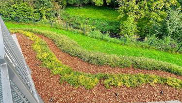 Qonroom - as individual as you - Detmold - Spork Eichholz - Foto 2