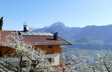 Der Luemerhof - Foto 1