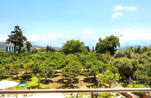 Green Orange Villa near Platanias - Photo 19