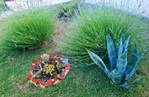 Apartman Boro - Foto 3