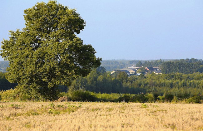 Ideal Cottage for Family & Friends Holiday - Calm in the Midst of Nature - Foto 26