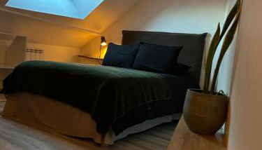 Dupplex, centre ville - Foto 4