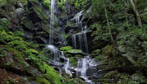 Pet-Friendly Accommodation for Two near World Equestrian Games, North Carolina - Foto 4