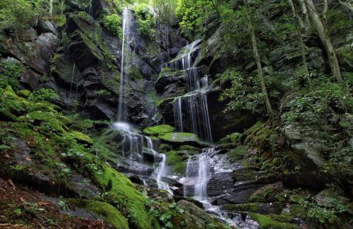 Unique Glamping Tent for Two near World Equestrian Games in Mill Spring, North Carolina - Foto 5