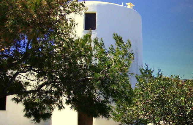 Windmill Complex - Photo 28