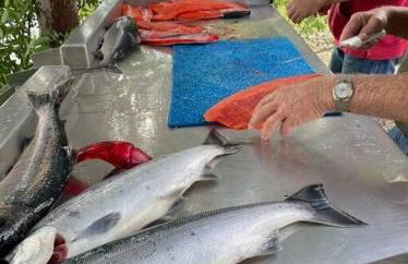 Kenai Living Waters - Fishing Paradise - Foto 14