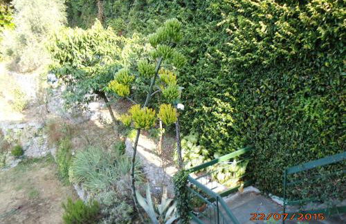 Villa Bianca - Foto 7